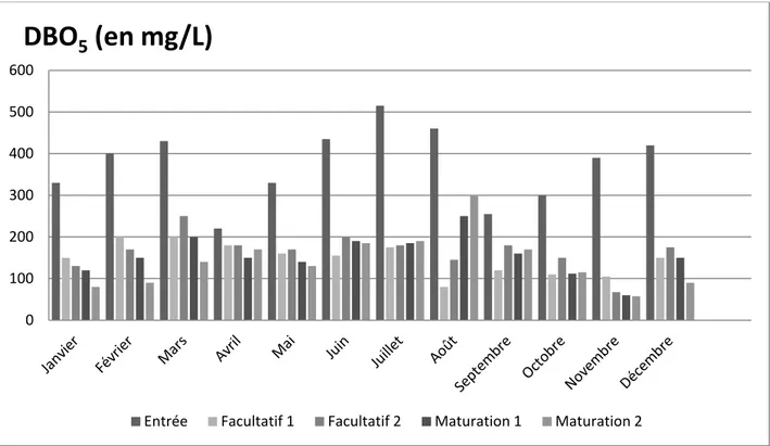 Figure 14 : Variations spatio-temporelles de la DBO 5  au niveau de la station de traitement des eaux usées  de  Hammam-Foukani