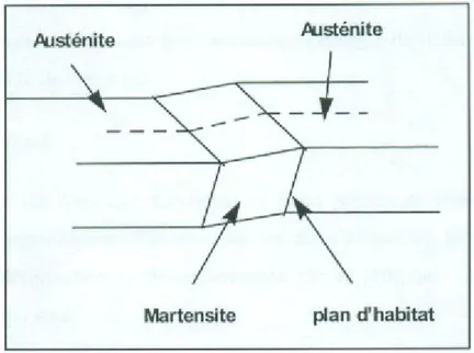 Figure 2:Formation d’une variante de martensite dans un monocristal d’austénite 