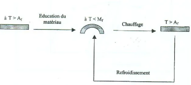 Figure 10: Illustration de l’effet mémoire double sens.    On applique une contrainte à haute température