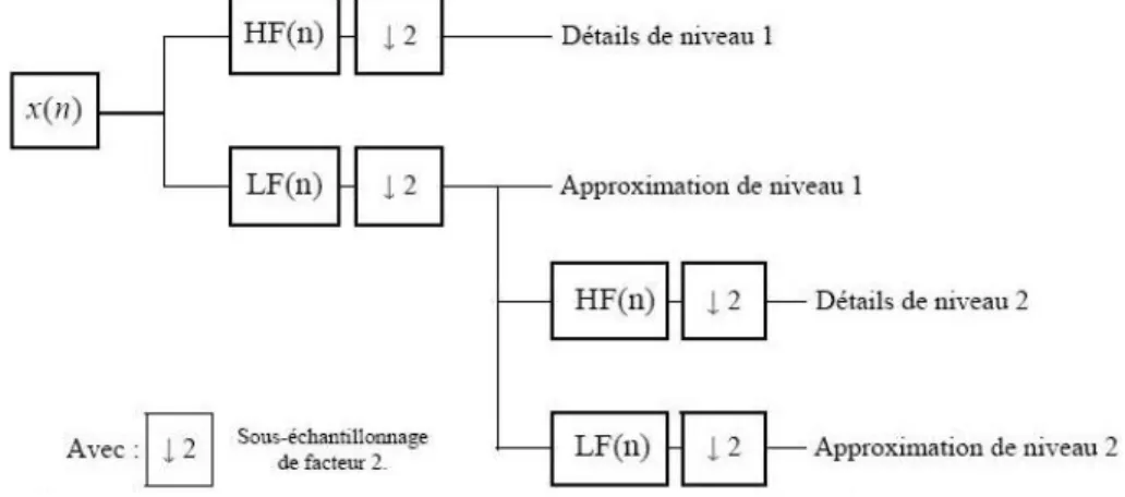 Fig. 3.7 – Décomposition par Analyse Multi-résolution.