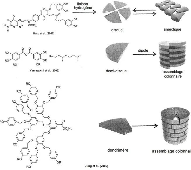 Figure 8. Représentation schématique de quelques exemples de ‘discogènes’ formés par des  interactions non-covalentes (extrait de Kato et al