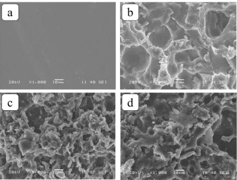 Figure 2.7. SEM images of (a) pristine HTV silicone rubber surface and samples (b) C10H2, (c) C15H2 and  (d) C20H2