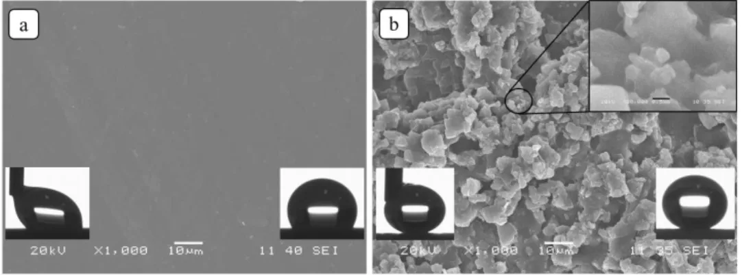 Figure 3.3. SEM images of (a) pristine silicone rubber (PSR) surface and (b) superhydrophobic silicone  rubber (SHSR) surface with two different magnifications ×1,000 and ×30,000 (the scale bar in the ×30, 000 