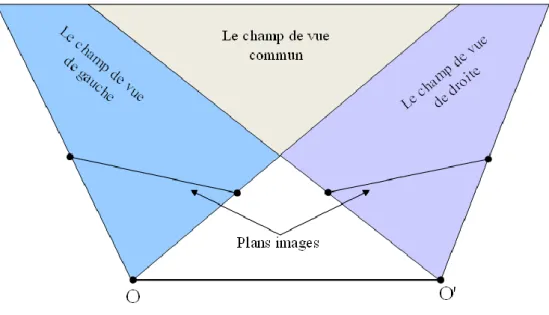 Figure 1.1 – Les champs de visions dans un système de vision stéréoscopique. 