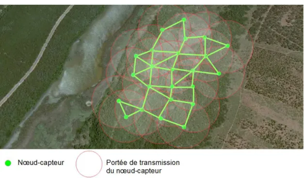 Figure 2.4 – Connectivit´e du r´eseau.