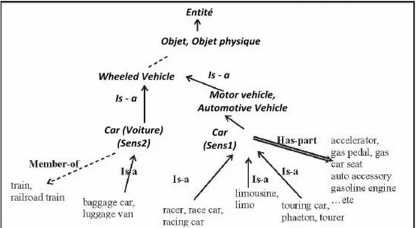 Fig. 3.1 Exemple de sous hiérarchie dans WordNet correspondant au concept « Car » (Baziz 2005) 