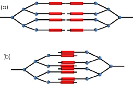 Figure 34 : représentations schématiques d’un dendrimère dans une mésophase de manière 