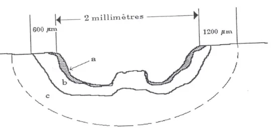 Figure 5 : représentation d’un point d’impact de laser CO 2.  (73)