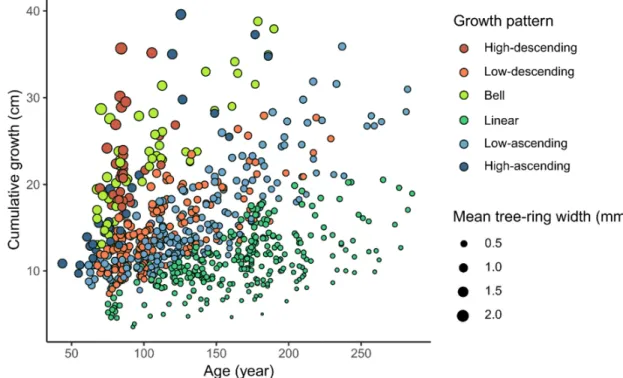 Figure 3. Scatterplot of the studied trees based on their age, cumulative growth, growth pattern, and  mean tree-ring width