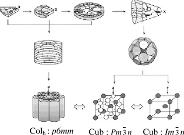 Figure 1.13 : Représentation schématique de l’auto-assemblage des dendrons en phases 