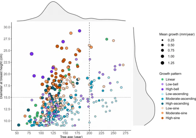 Figure 5 Scatterplot of the studied trees according to their age, DBH,
