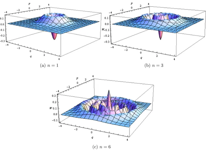 Figure 1.2: Wigner function W (q, p) for Fock state