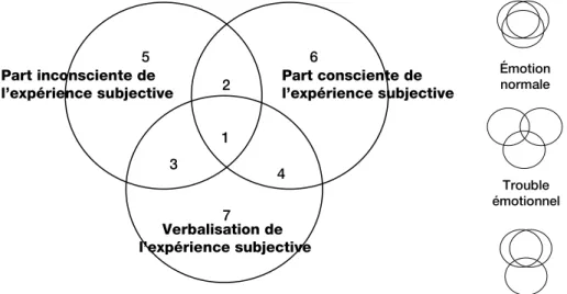Figure  10 :  Représentation  de  la  composante  d’expérience  subjective  de  l’émotion  d’après  Kaiser  et  Scherer (1998, p.89) 