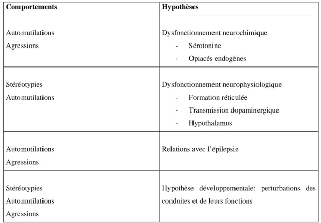 Tableau 2.1: Hypothèses explicatives en lien avec la personne (Lambert, 2003b, p.17) 