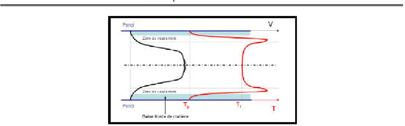 Figure 10 : Vitesse et température du polymère lors de l’écoulement  Pendant la phase d’injection [7] 