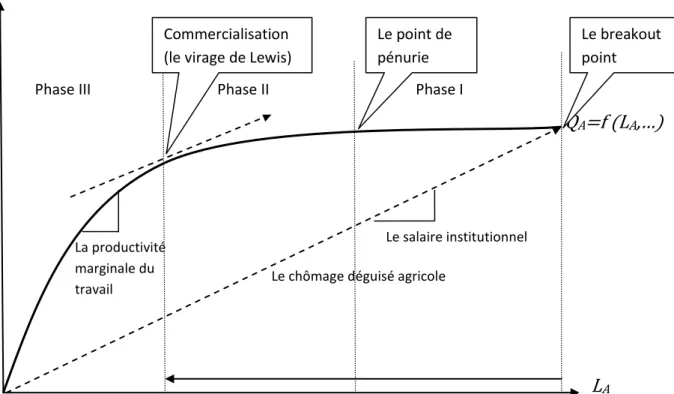 Graphique  2 :  La  production  agricole,  la  main  d’œuvre  agricole  et  les  phases du développement économique selon Lewis-Ranis-Fei