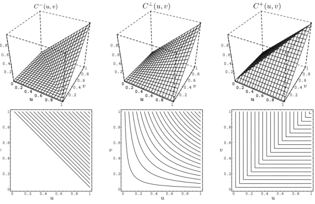 Fig. 8.1  Graphes à trois dimensions et lignes de niveau des opules C