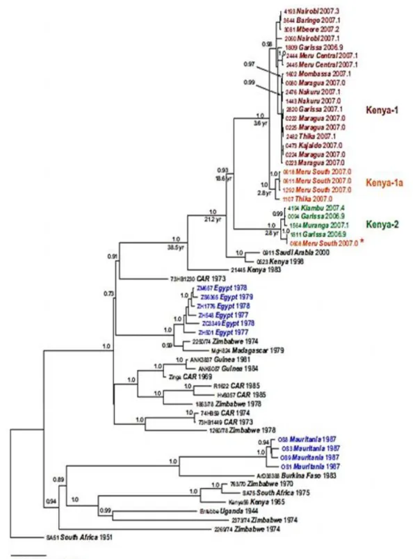 Figure 10. Analyse phylogénétique du virus de la fièvre de la vallée du Rift (Pépin et al., 2010)