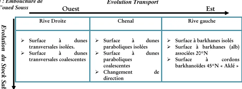 Tableau VII: Evolution du Stock et déplacement sableux au sein du « Fleuve de  sable »  de  Souss
