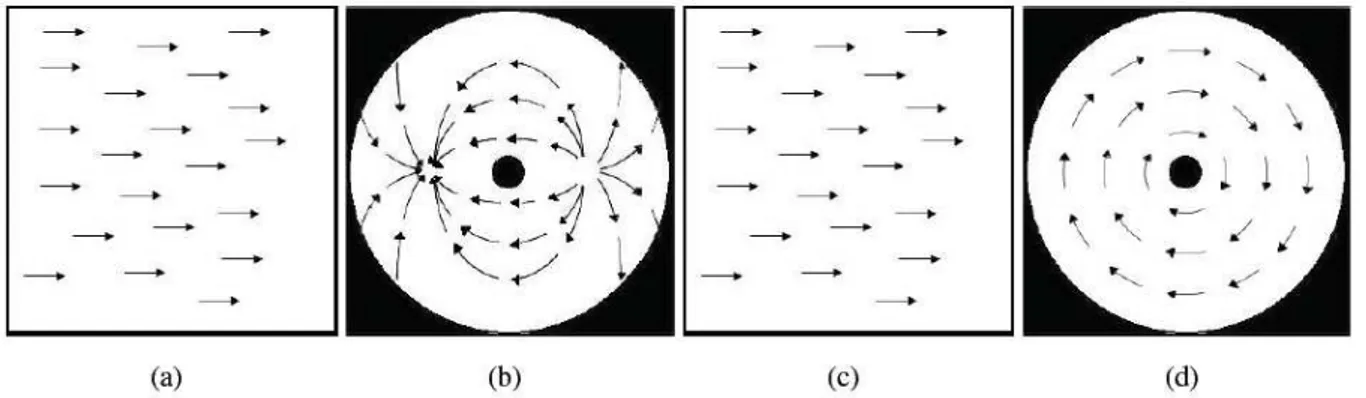 Figure II.6 : Mouvement des pixels de l’image pour une translation de la caméra parallèlement à la scène  (a)  dans  une  image  perspective  et  (b)  dans  une  image  omnidirectionnelle