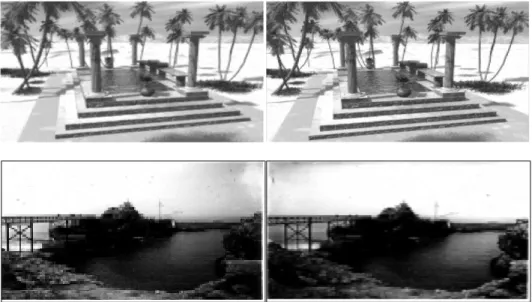 Figure III.7 : Exemples d’images perspectives utilisées 