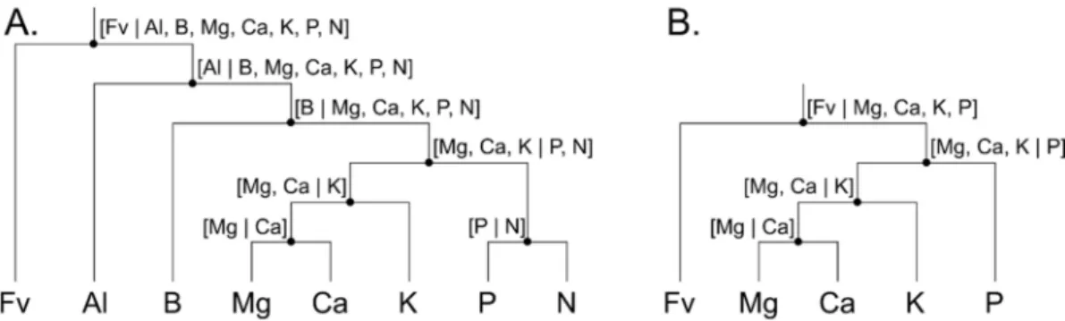 Figure 2. Balance diagram to transform (A) nutrients to nutrient balances and (B) soil nutrients to soil balances