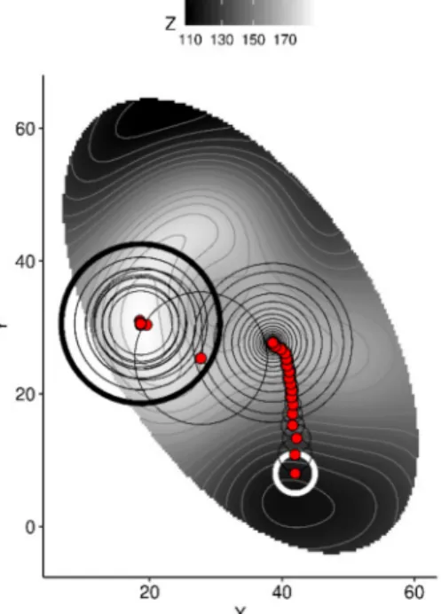 Figure 3. Two-dimensional representation of the algorithm scanning XY coordinates to draw the path to higher Z topography as a metaphor for scanning tissue nutrient balances that augment yields