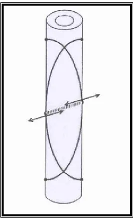 Figure 5: La résistance des sommets des arcs élastiques aux Forces de cisaillement  (D'après METAIZEAU) 