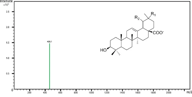 Figure 10. Spectrométrie de masse de l'acide oléanolique en ionisation négative : fragment majoritaire 