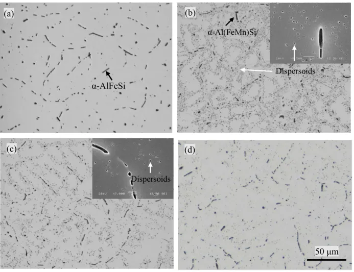 Fig.  2  Microstructures  of  homogenized  samples  with  water  quench:  (a)  base  alloy  homogenized at 545 °C, (b–d) 0.1Mn alloy homogenized, (b) at 515 °C, (c) at 545 °C,  and (d) at 575  ° C