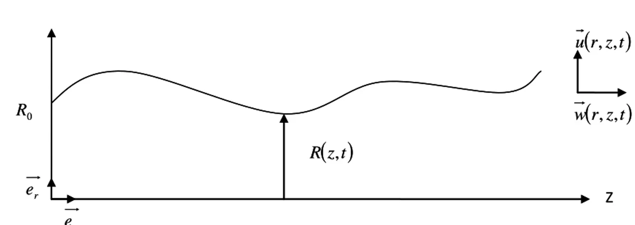Figure 4 : Géométrie de la conduite  