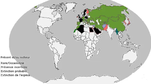 Figure 2: Carte modifiée de répartition géographique mondiale de la grande outarde  (La coloration indique le pays) 