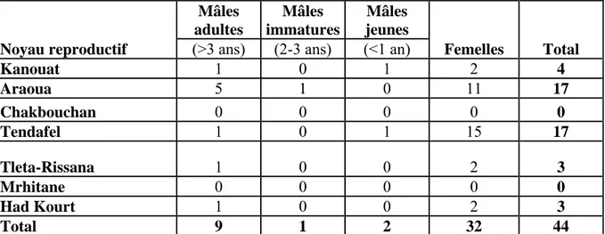 Tableau 5 : Résultats du recensement des Grandes outardes du Maroc réalisé en mars 2001  Noyau  reproductif  Mâles adultes  (&gt;3 ans)  Mâles  immatures  (2-3 ans)  Mâles  jeunes 