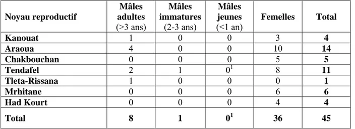 Tableau 7 : Résultats du recensement des Grandes outardes du Maroc réalisé en mars 2003 