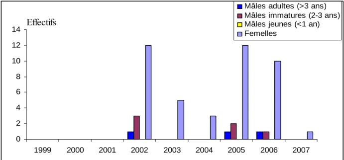 Figure 6 : Evolution des quantités d'outardes mâles adultes (> 3 ans), mâles immatures (2- 3  ans), mâles jeunes (< 1 an) et Femelles  dans la zone de Chakbouchan durant la période  d’observation 1999 – 2007 