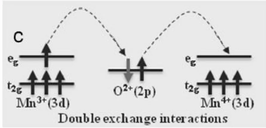 Figure I.7 : Schéma de transfert de charge lors du double échange via l’orbitale 2p de  l’oxygène 