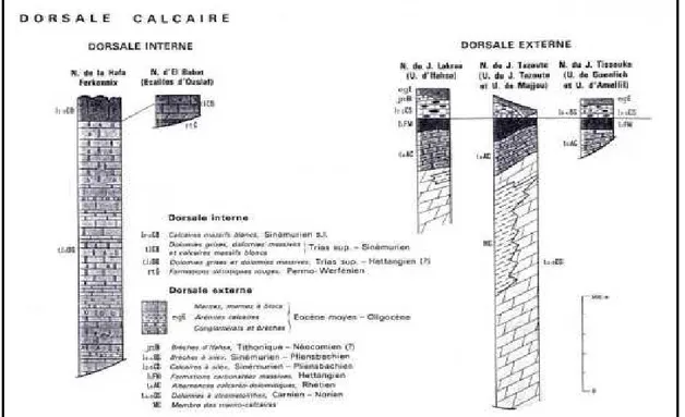 Fig. 3- Exemples de séries de la dorsale calcaire s.s. (WILDI et al., 1959-1976). 