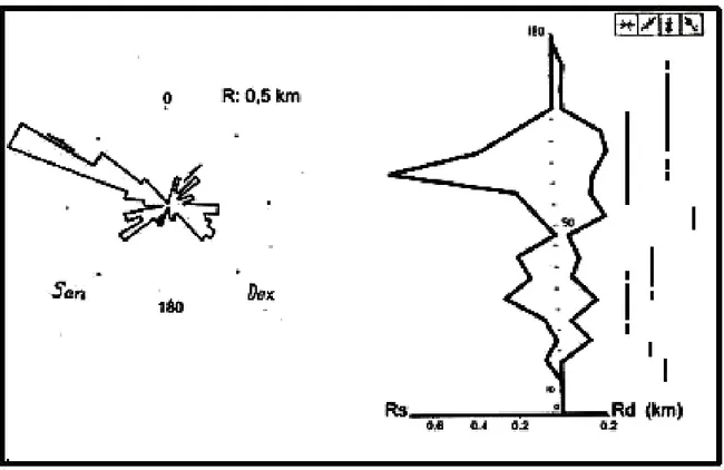 Fig.  15-  Histogramme-rosaces  des  rejets  cumulés  dextres  et  senestres  de  la  population  des  décrochements  de  la  zone  I  et  compressions  correspondantes