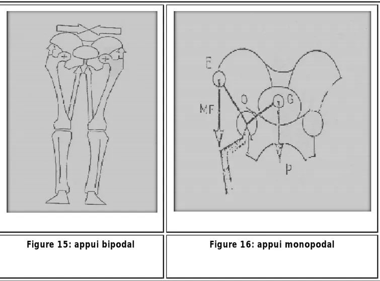 Figure 15: appui bipodal  Figure 16: appui monopodal 