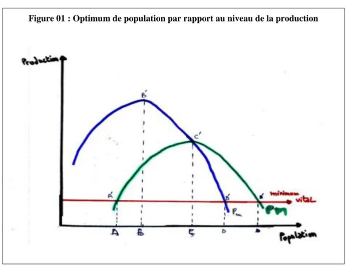 Figure 01 : Optimum de population par rapport au niveau de la production 