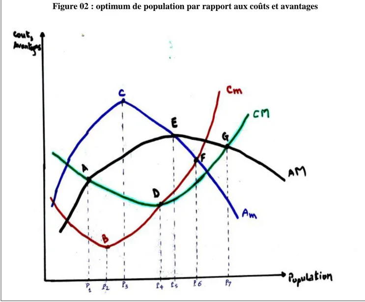 Figure 02 : optimum de population par rapport aux coûts et avantages 