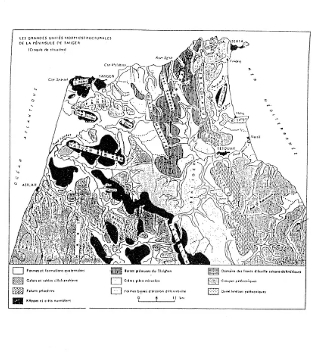 Fig6 : Les grandes unités morphostructurales de la péninsule de Tanger (Rharbaoui, 1982)