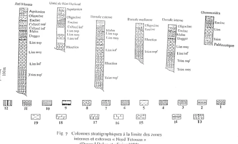 Fig7 : Colonnes stratigraphiques à la limite des zones internes et externes « Nord Tétouan » (Durand Delga et olivier 1988)