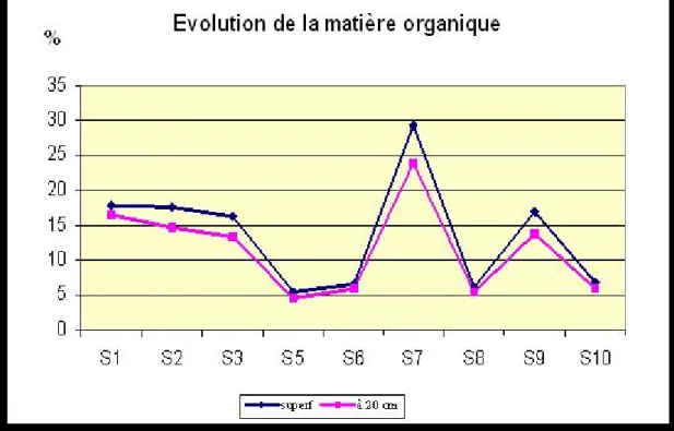 Fig. 7 : Evolution de la matière organique dans les sédiments superficiels et à 20 cm 