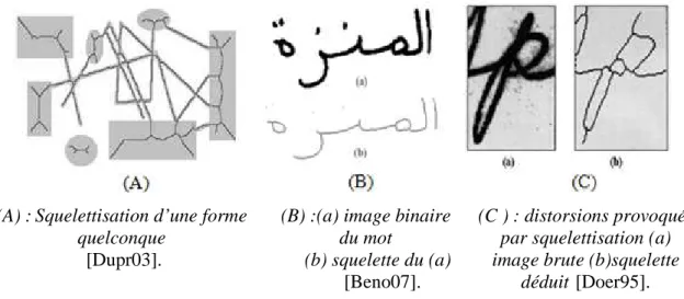 Figure  1-11 : Exemples de squelettisation 