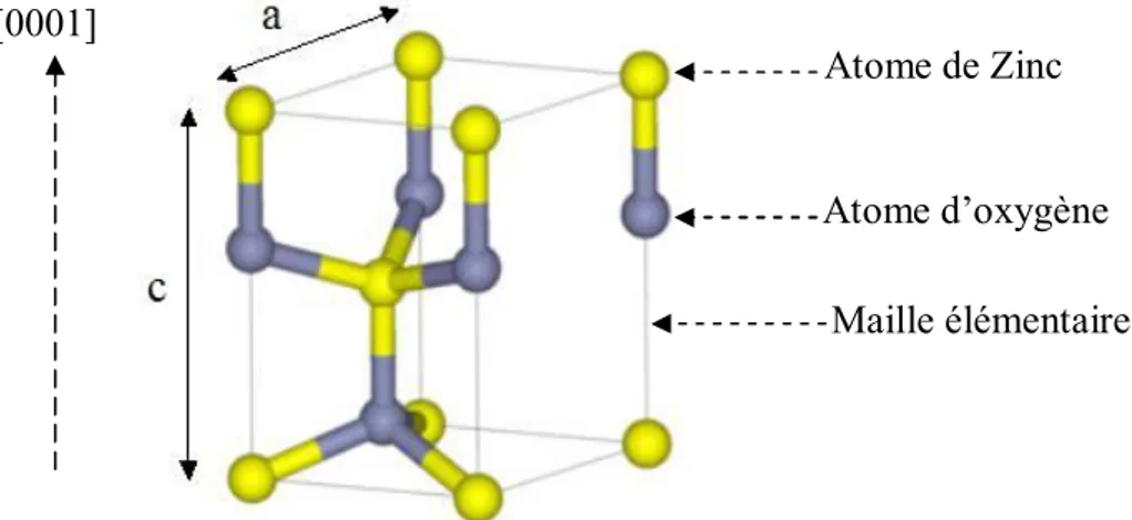 Figure 1.4. Schéma de la maille élémentaire la structure würzite de ZnO. Atome de Zinc 
