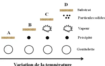 Figure 2.7. Processus de décomposition de la solution précurseur avec l’augmentation  de la température proposé par Viguié et Spitz [15]