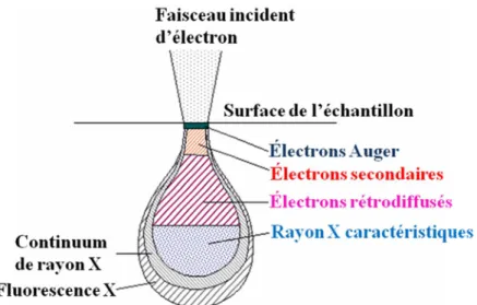 Figure 2.9. Poire de diffusion d’un faisceau d’électrons incident sur la surface d’un échantillon  [16]