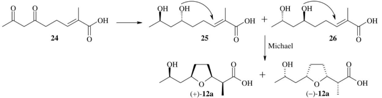 Figure 19 : Proposition pour les dernières étapes de la biosynthèse de l’acide nonactique  avec une addition de Michael 