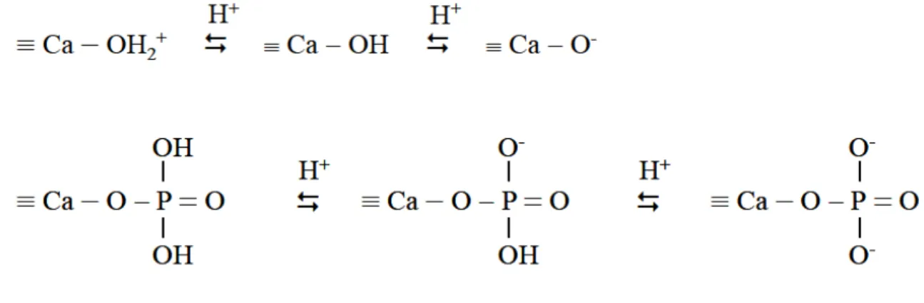 Figure I-8 : .Evolution de la nature des complexes de surface d’une apatite en fonction du pH 